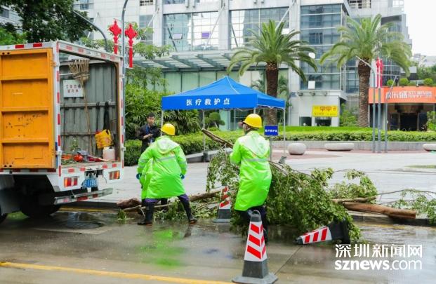 以练备战，以演筑防！直击深圳物业行业首次防风防汛应急救援演练