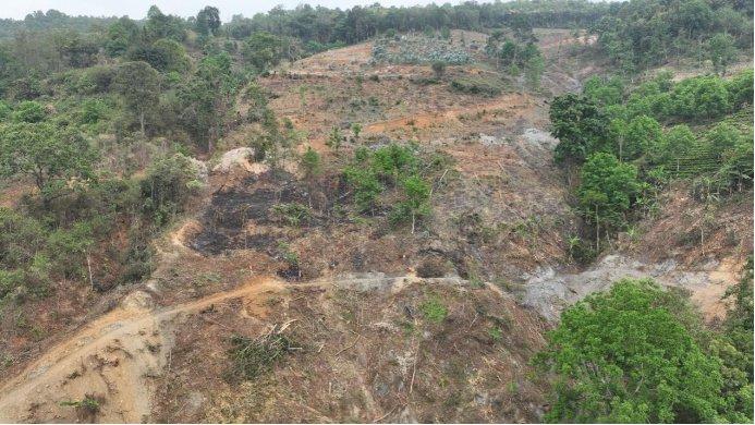 云南省部分市州严重破坏森林生态