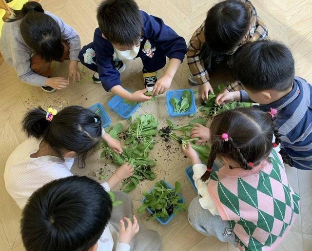 融合有爱、教育无碍，南京佳佳幼儿园为特需孩子撑起一片希望的天空