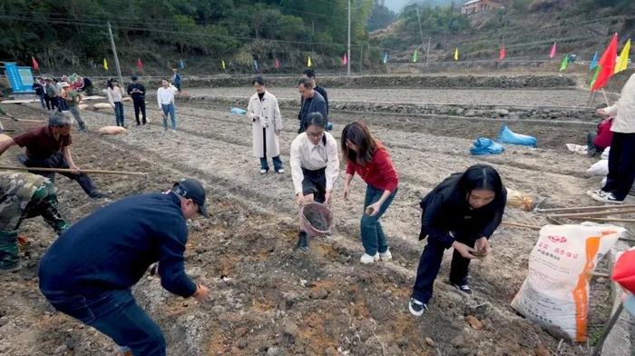 3000多斤！缙云县石笕乡——丽水山耕共富蔬菜基地订单土豆丰收！