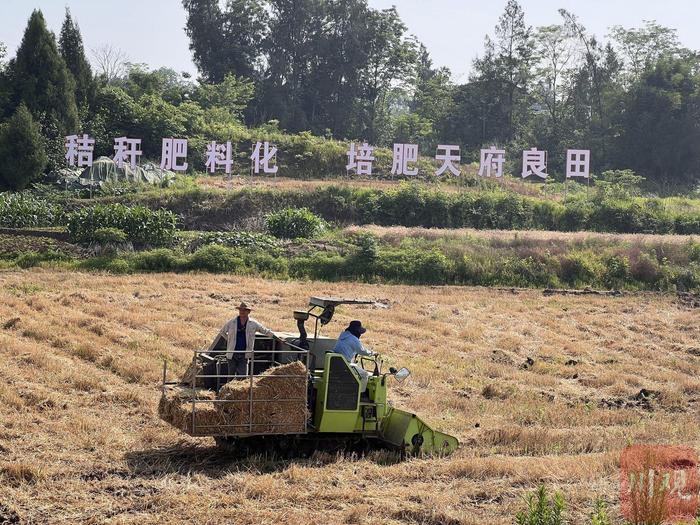 川观经济观察丨利用率高于全国，四川秸秆综合化利用如何更进一步？