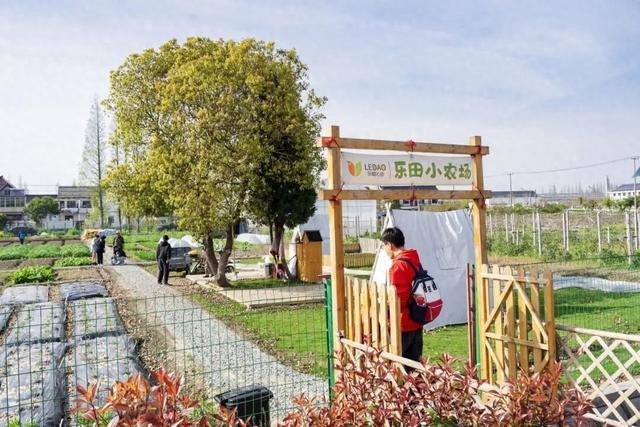 身处田园，仰望星空～这个周日，乐稻心田科技节福利来啦！