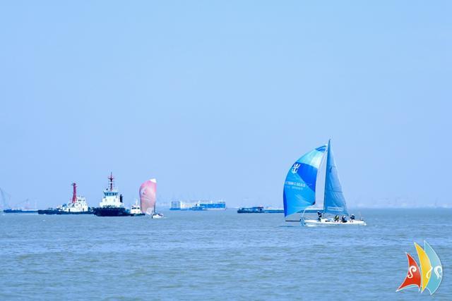 2024上海邮轮港国际帆船赛在宝山开赛