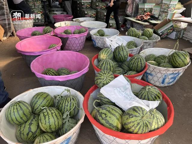 一天爆卖3000斤！杭州有人凌晨6点赶来抢它！田边挤满私家车