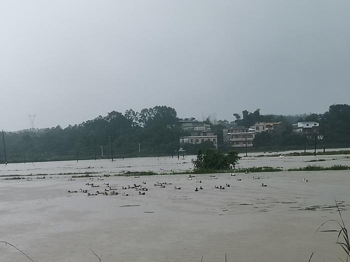 广西局地有大暴雨到特大暴雨！具有极端性 致灾风险高！雨何时停？