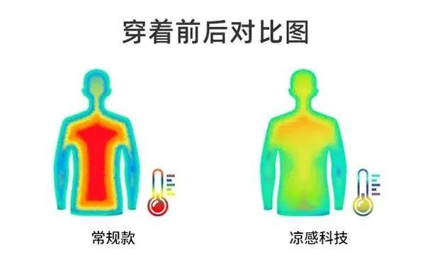 鸿星尔克套装 “短袖+短裤+长裤” =139元/3件，清爽速干、显瘦藏肉！