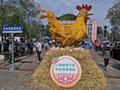 重庆举行首届“增福土鸡”嘉年华 十佳养鸡能手带动村民共同致富