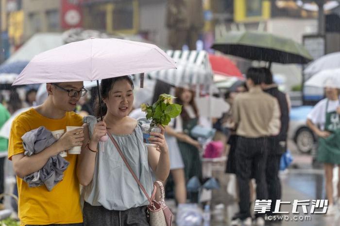 图视汇丨长沙的网红斑马线开花了！