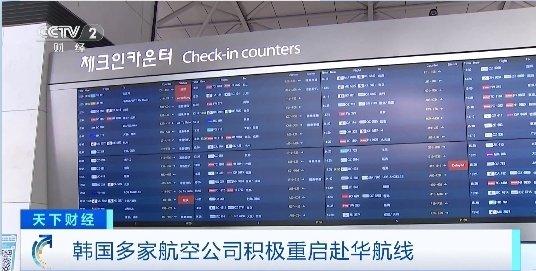 来中国看大熊猫！韩国赴华游持续火热，有旅行社预订量暴涨超600%