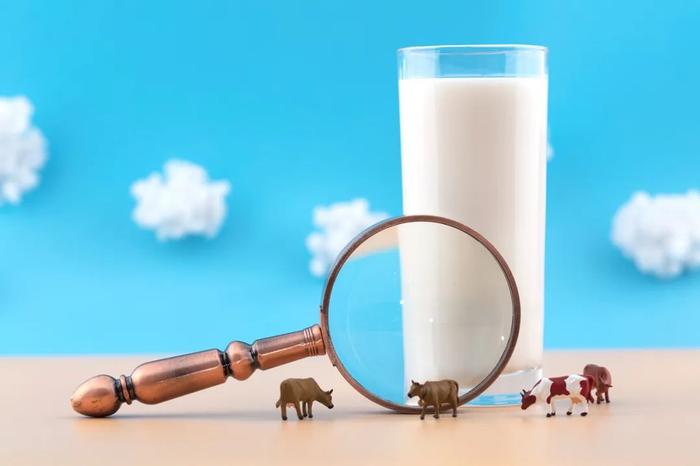 奶粉和牛奶，谁更有钙营养？真相是