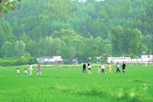 【百村行】李寺村