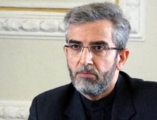 伊朗任命阿里·巴盖里为代理外交部长