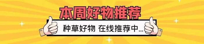 40年大牌代工厂造「全能战术裤」，价格不到某鸟1/10！