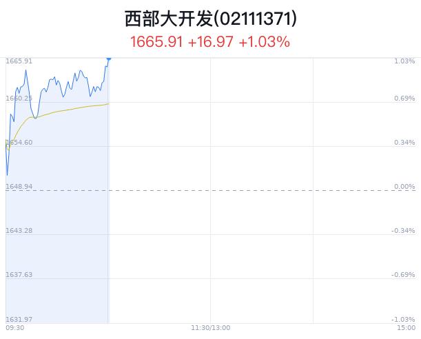 西部大开发概念盘中拉升，高争民爆等2只股票涨停