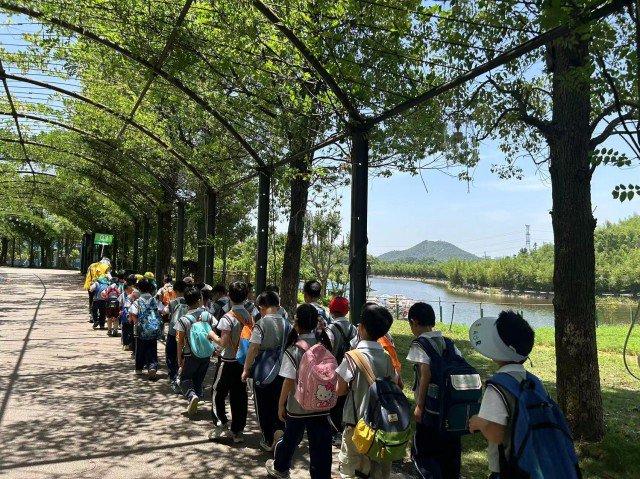 滴水湖学校：研学实践让大自然成为一年级学生第二课堂