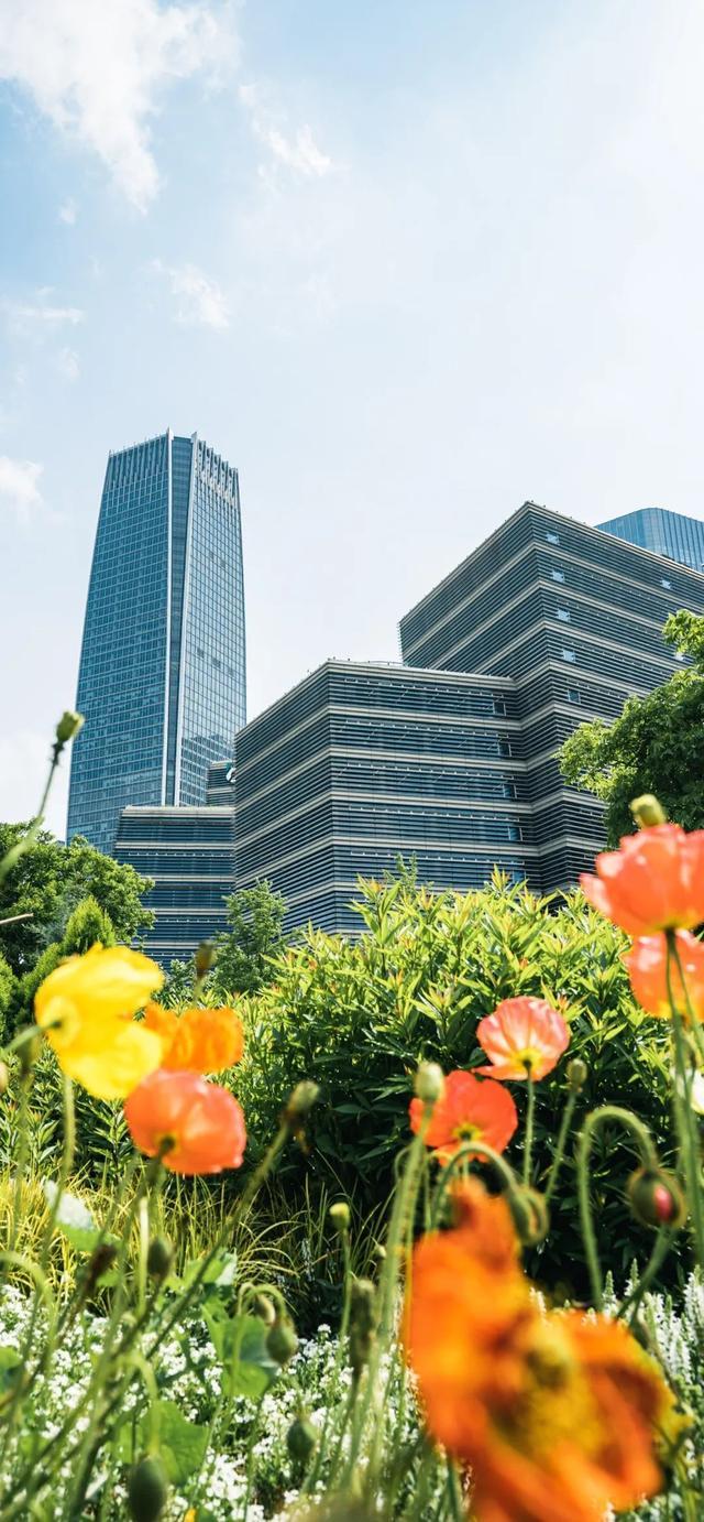 上海市中心繁花开成海！免费体验！文末还有福利～