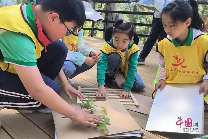 走进自然课堂感受生物之美——绩溪县青少年活动中心走进平银植物园开展科学实践活动