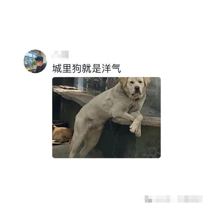 “70岁的大爷健步如飞，我起猛了两眼一黑”，呜呜是谁又破防了……