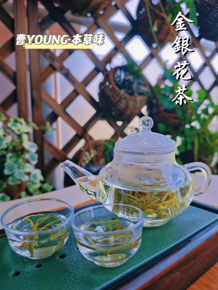 学做夏日饮品之金银花茶！一品“曹YOUNG·本草味”→