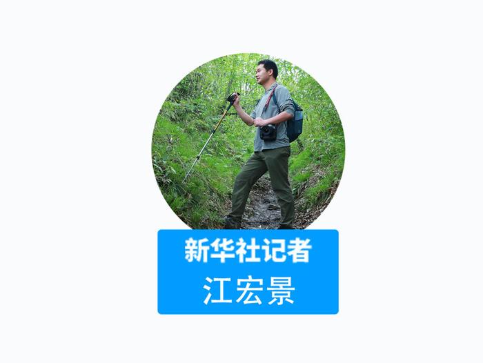 我在现场·照片背后的故事丨他们扎根深山30余载，只为守护杜鹃花的家园