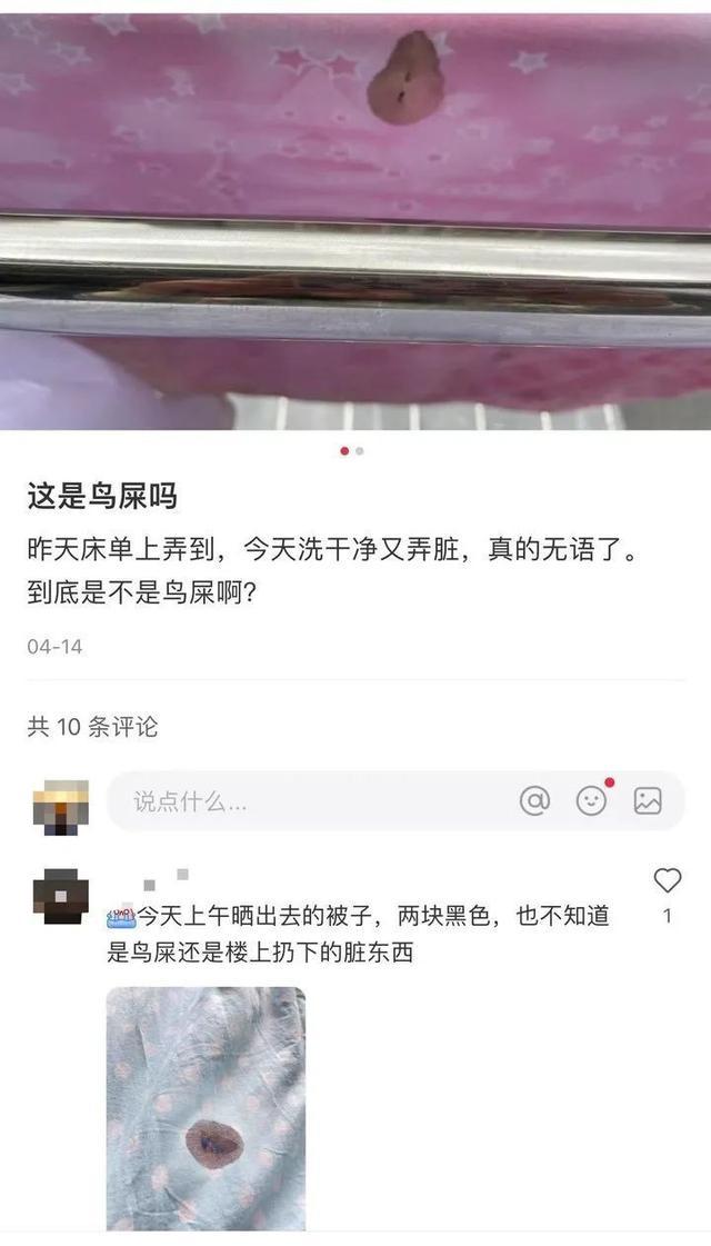 “这到底是啥？！”杭城业主群炸锅，大批人晒图：我家也中招