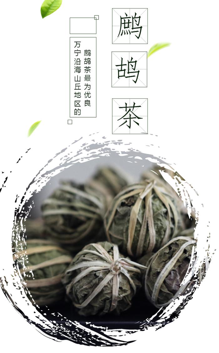 强国策划 | 茶香里的海南-新闻中心