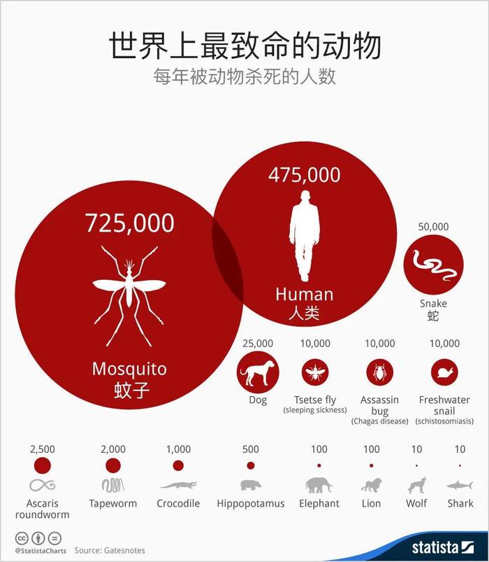 新型第三代「蚊虫灭绝机」！逼家里蚊子出来「自杀」，太有用了！