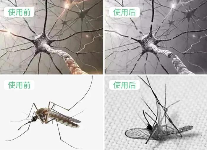 新型第三代「蚊虫灭绝机」！逼家里蚊子出来「自杀」，太有用了！