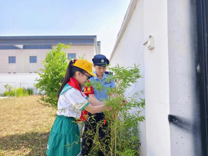 方城县第八小学：体验高铁科技速度，感受社会发展进步