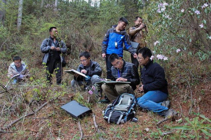 我在现场·照片背后的故事丨他们扎根深山30余载，只为守护杜鹃花的家园