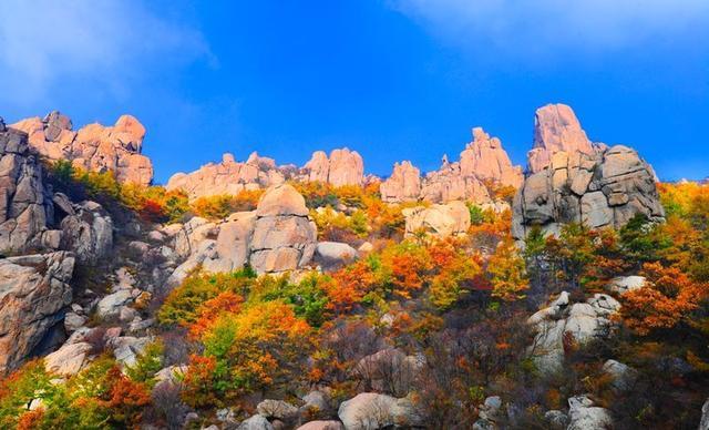 崂山秋叶入选全国第三批天气气候景观观赏地