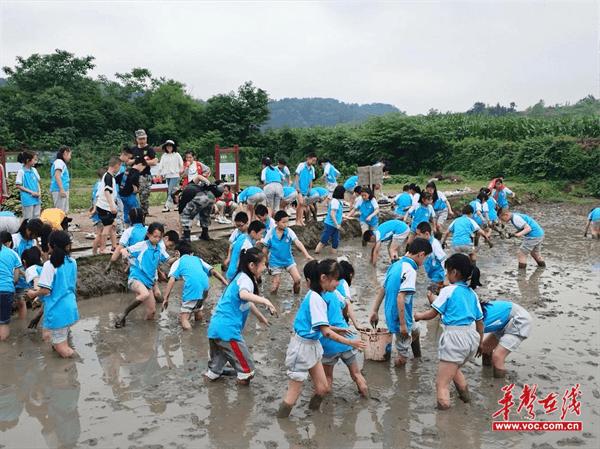 武冈市幸福芙蓉学校举行2024年春季研学教育实践活动