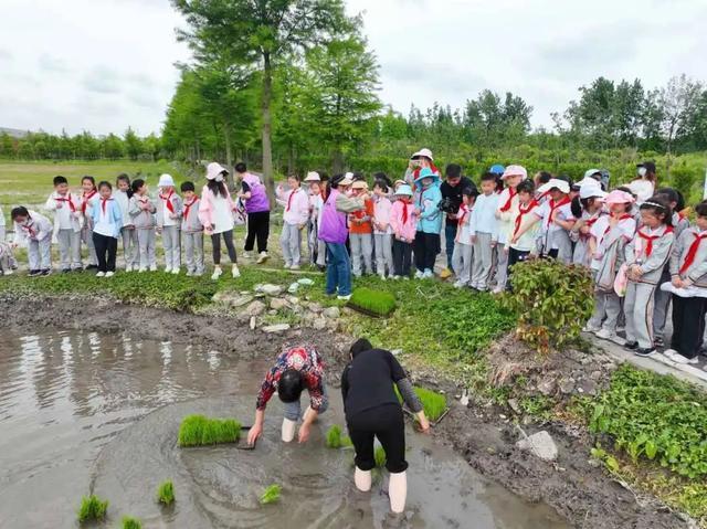 “田间课堂”有点啥？快来这个村“灵”略独特的农耕文化吧！