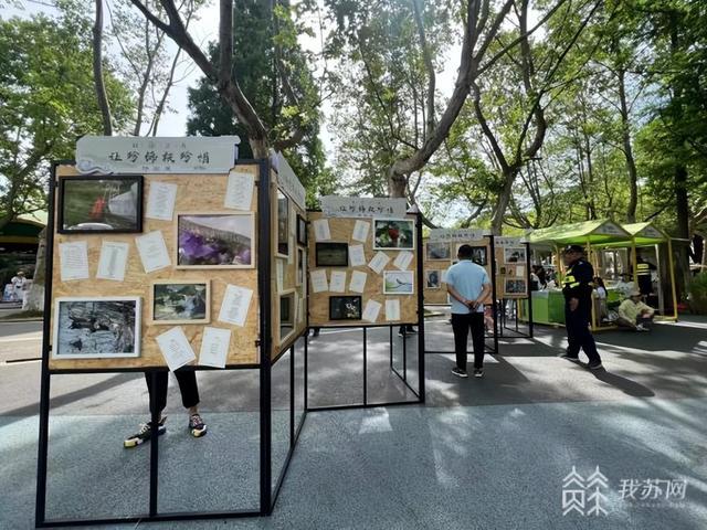 见诗意见自然 南京红山森林动物园的动物们有了专属诗歌