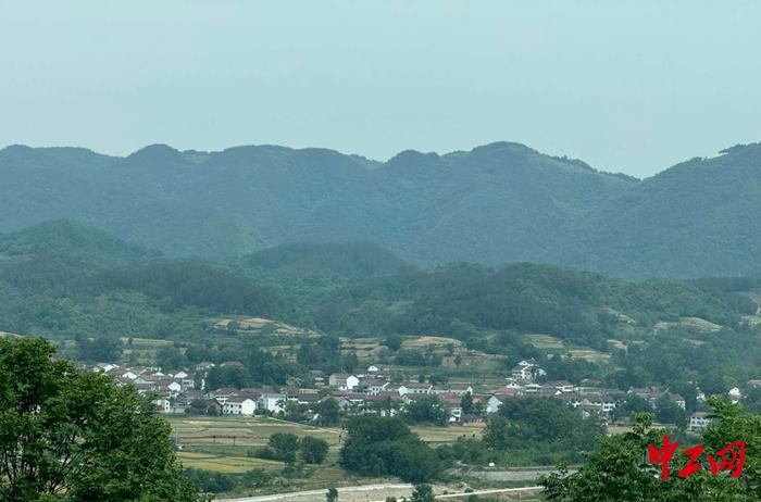 发现最美铁路·春涌秦巴走西成丨沿着铁路一起上春山，采春茶！