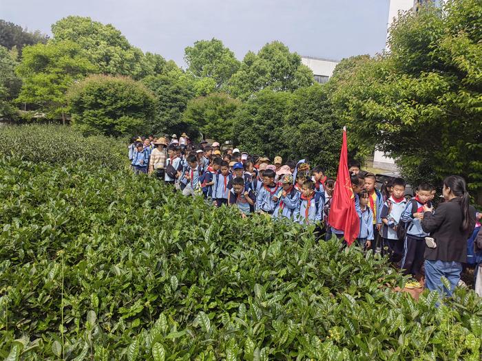 祁门县筑牢家委组织“桥头堡”