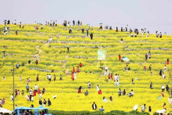 预计到2035年，北京市滨水慢行系统河道长度将达550公里