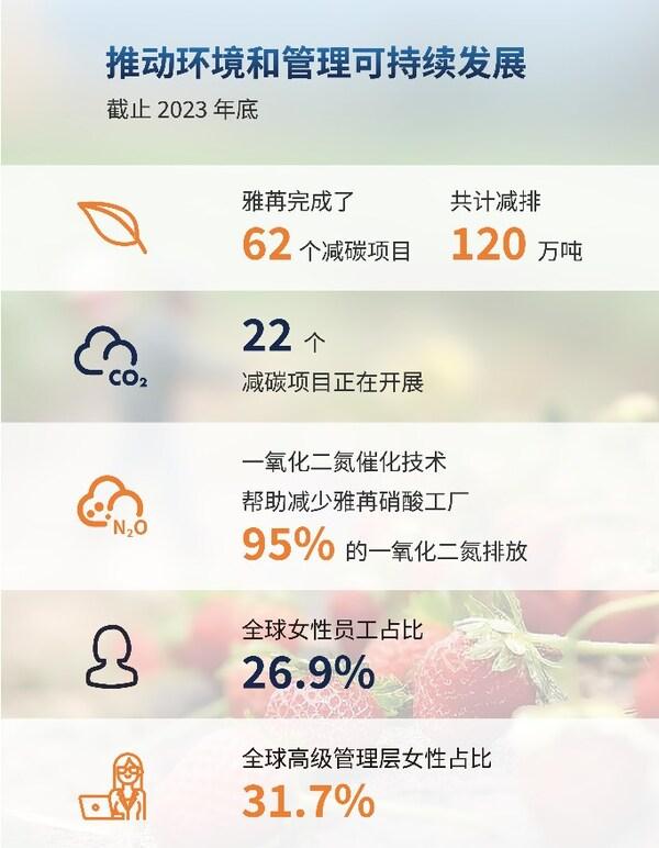 雅苒国际发布2023年综合报告