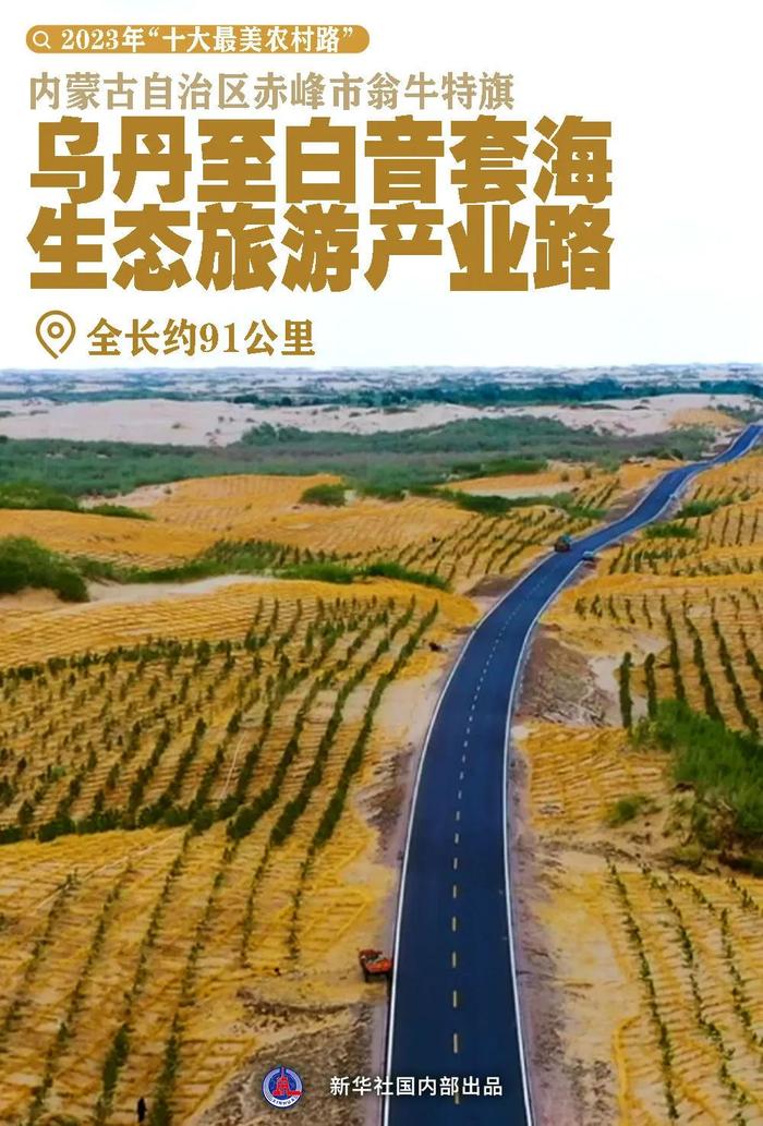 瀚海里的绿色长廊，内蒙古赤峰这条公路又双叒叕上央视了