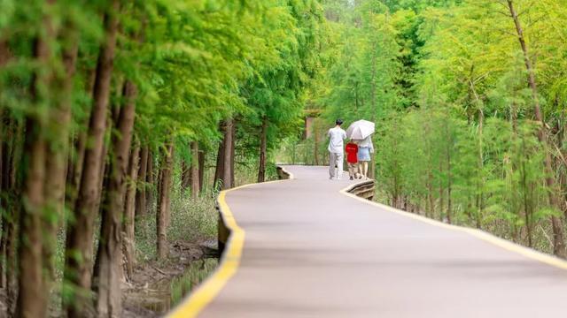 初夏游崇明5A景区，吃住行看这一条就够了！