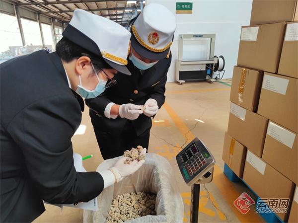 出口企业达676家 云南农产品国际市场受欢迎
