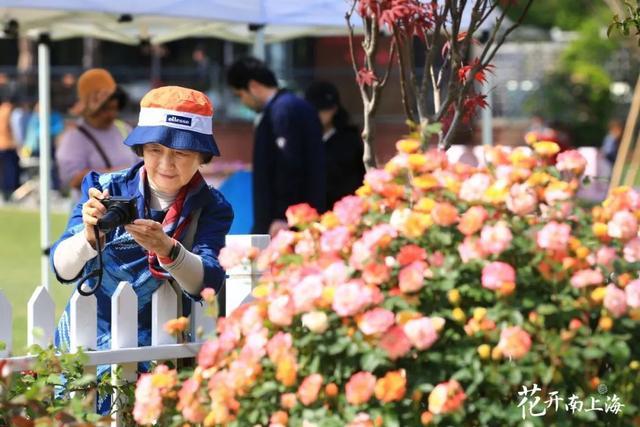 2024上海（国际）花展奉贤会场圆满落幕，21余万市民共赴花花世界！