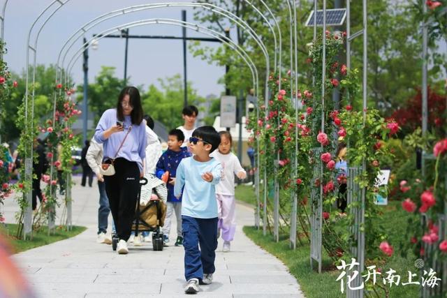 2024上海（国际）花展奉贤会场圆满落幕，21余万市民共赴花花世界！