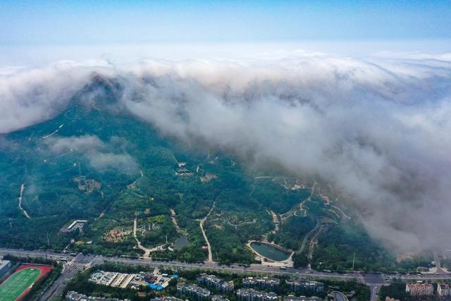 平流雾下的青岛20℃！你们那里多少度？