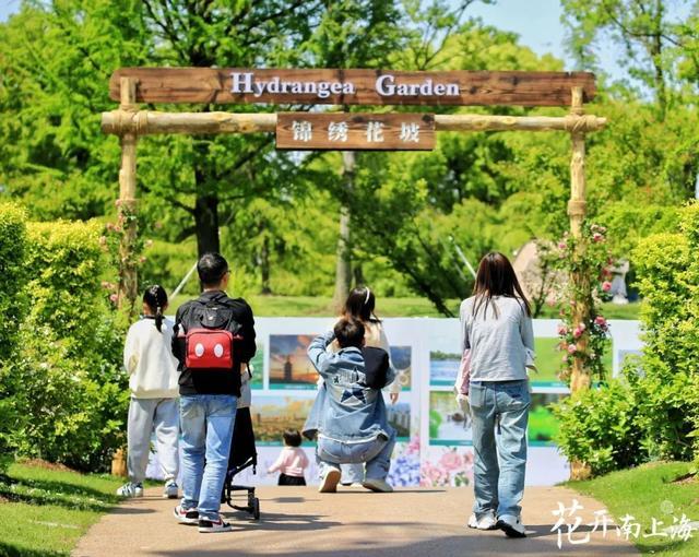 2024上海（国际）花展奉贤会场圆满落幕，21余万市民共赴花花世界！