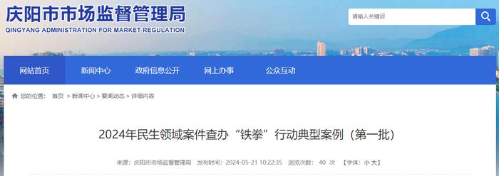 甘肃省庆阳市2024年民生领域案件查办“铁拳”行动典型案例（第一批）