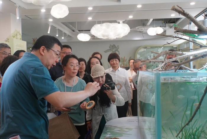 家门口的“自然课堂” 上海首家生境博物馆在长宁新泾镇揭开面纱