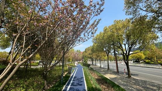 “蓝紫调”的3.3公里，闵行这条绿道完成升级改造