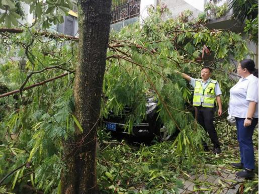 中国人寿财险广西分公司快速应对强暴雨汛情