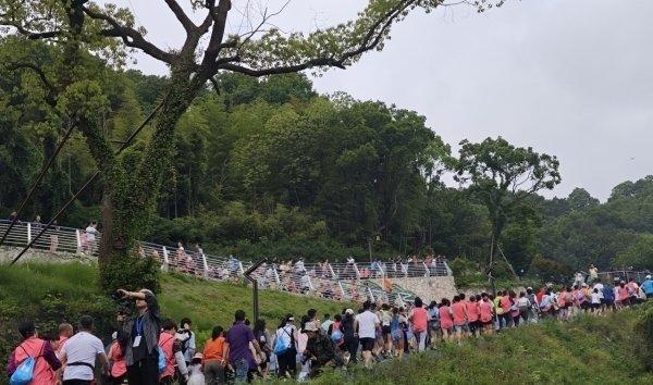 免费游景区、夜游普陀湾……这个“中国旅游日”，舟山捧出丰盛文旅“大餐”